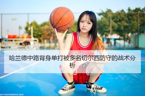 ha-lan-de-zhong-lu-bei-shen-dan-da-bei-duo-ming-qie-er-xi-fang-shou-de-zhan-shu-fen-xi-2-335.jpg